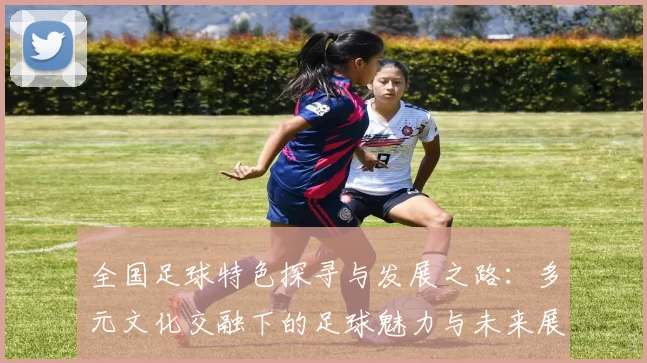 全国足球特色探寻与发展之路：多元文化交融下的足球魅力与未来展望