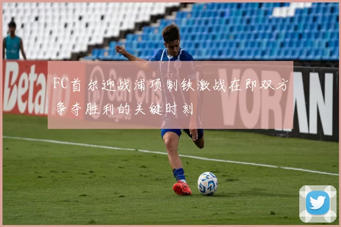 FC首尔迎战浦项制铁激战在即双方争夺胜利的关键时刻