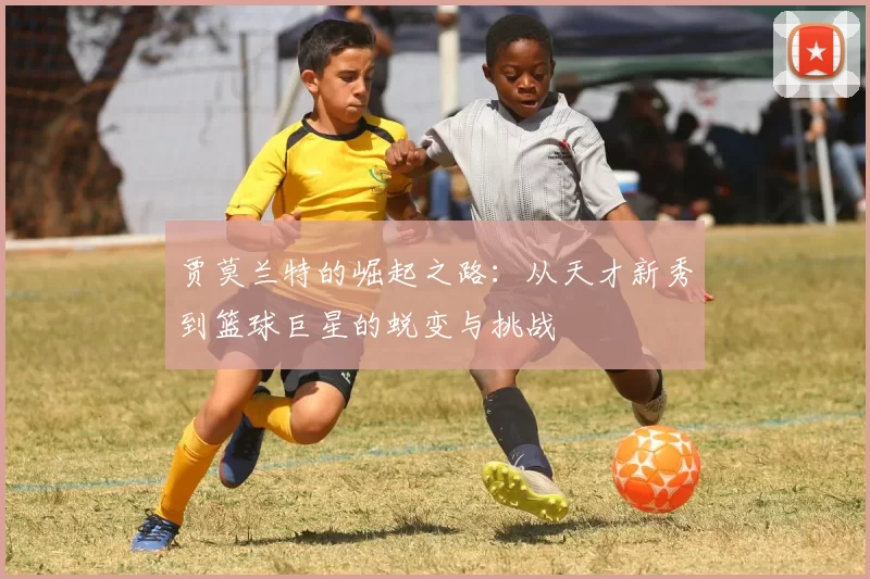 贾莫兰特的崛起之路：从天才新秀到篮球巨星的蜕变与挑战